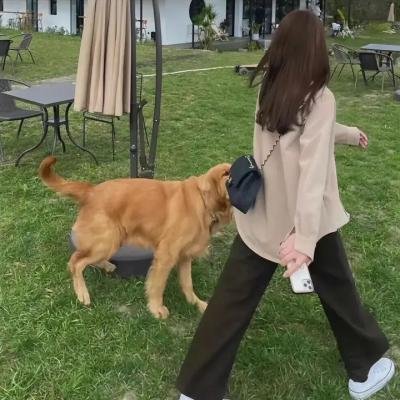 重力是我的敌人